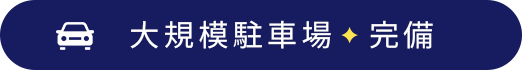 大規模駐車場 完備