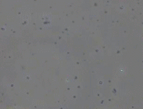 治療後