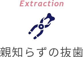 Extraction 親知らずの抜歯